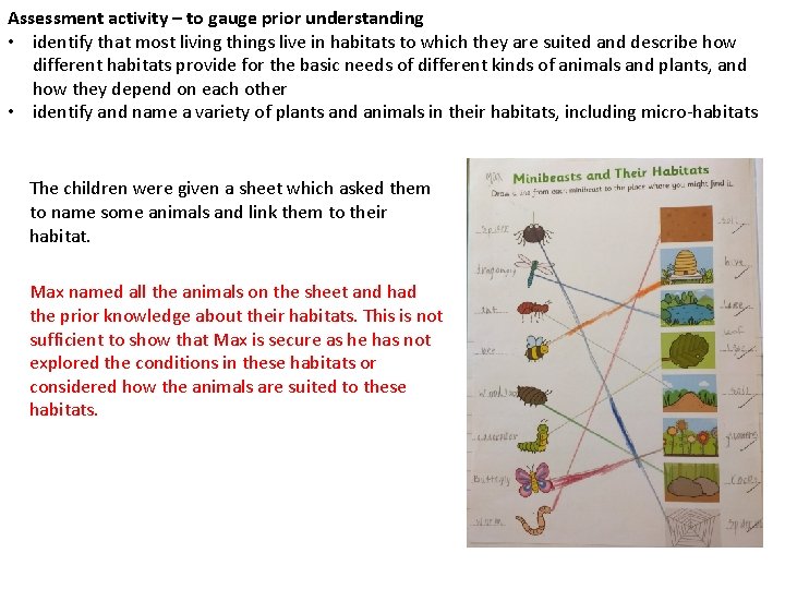 Assessment activity – to gauge prior understanding • identify that most living things live