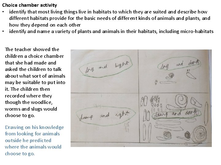 Choice chamber activity • identify that most living things live in habitats to which