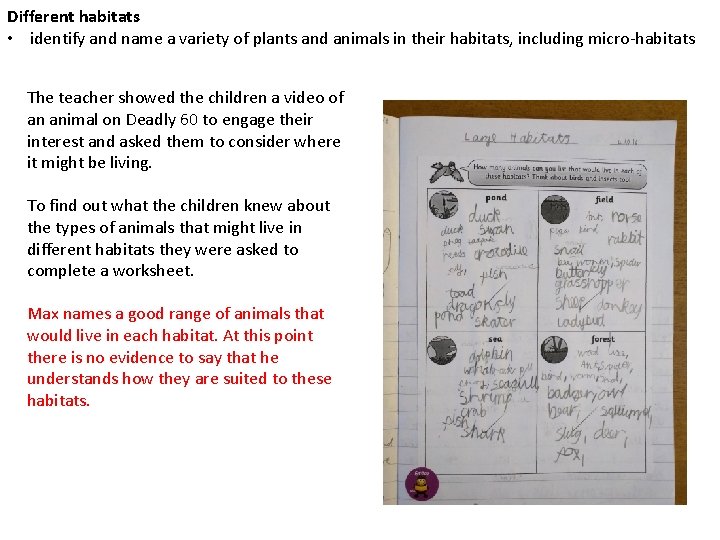 Different habitats • identify and name a variety of plants and animals in their