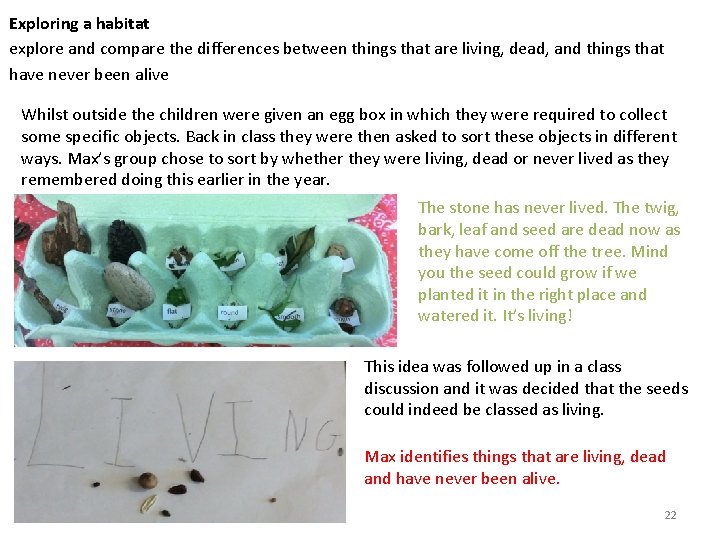 Exploring a habitat explore and compare the differences between things that are living, dead,