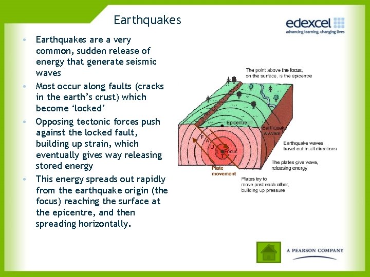 Earthquakes • Earthquakes are a very common, sudden release of energy that generate seismic