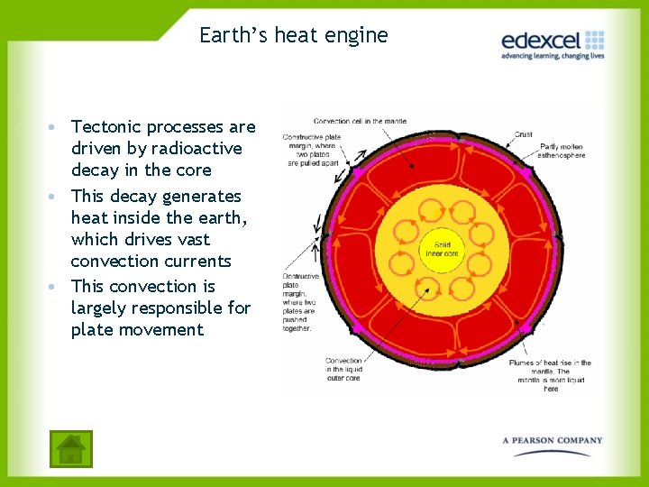 Earth’s heat engine • Tectonic processes are driven by radioactive decay in the core