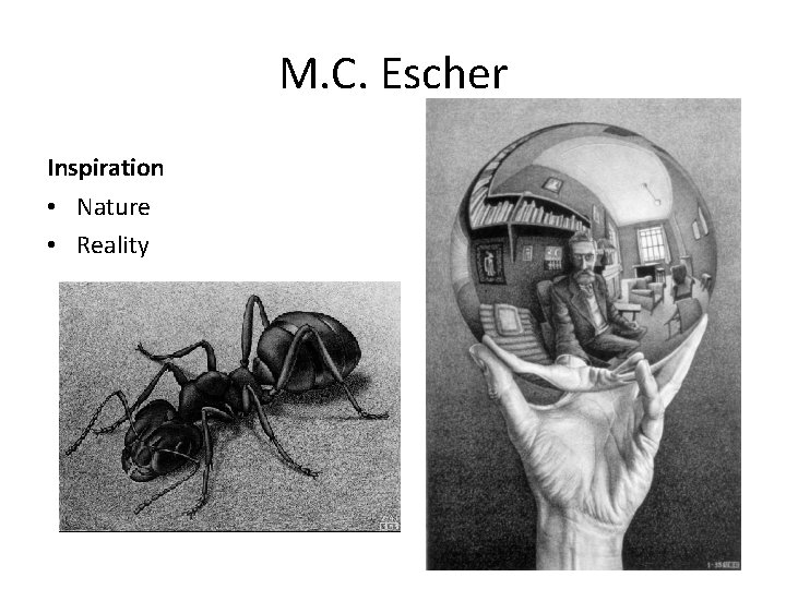 M. C. Escher Inspiration • Nature • Reality 