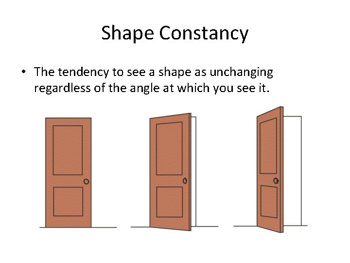 Shape Constancy • The tendency to see a shape as unchanging regardless of the