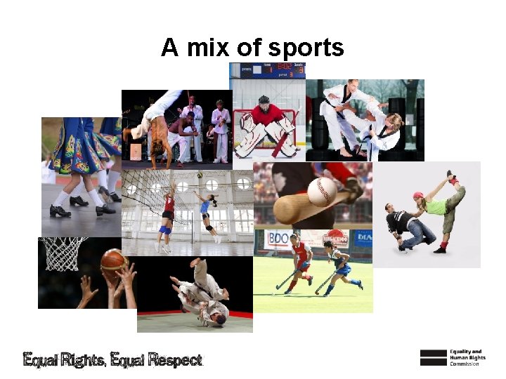 A mix of sports 