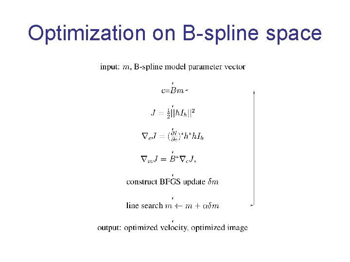 Optimization on B-spline space 