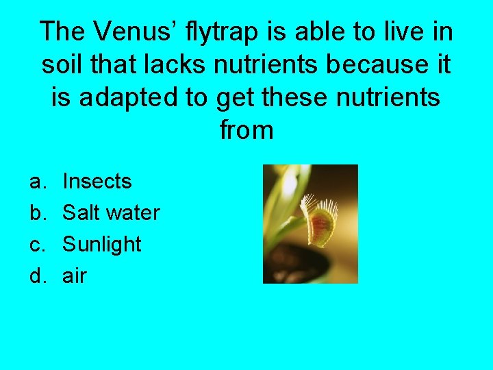 The Venus’ flytrap is able to live in soil that lacks nutrients because it