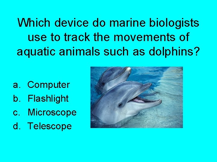 Which device do marine biologists use to track the movements of aquatic animals such