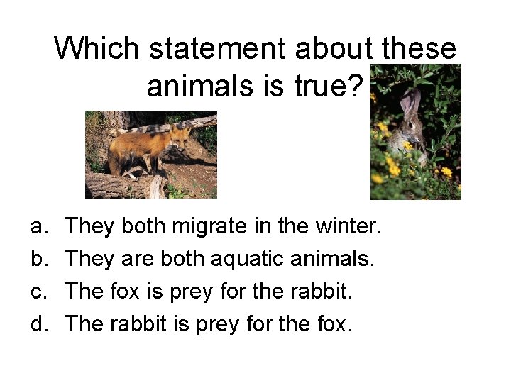 Which statement about these animals is true? a. b. c. d. They both migrate