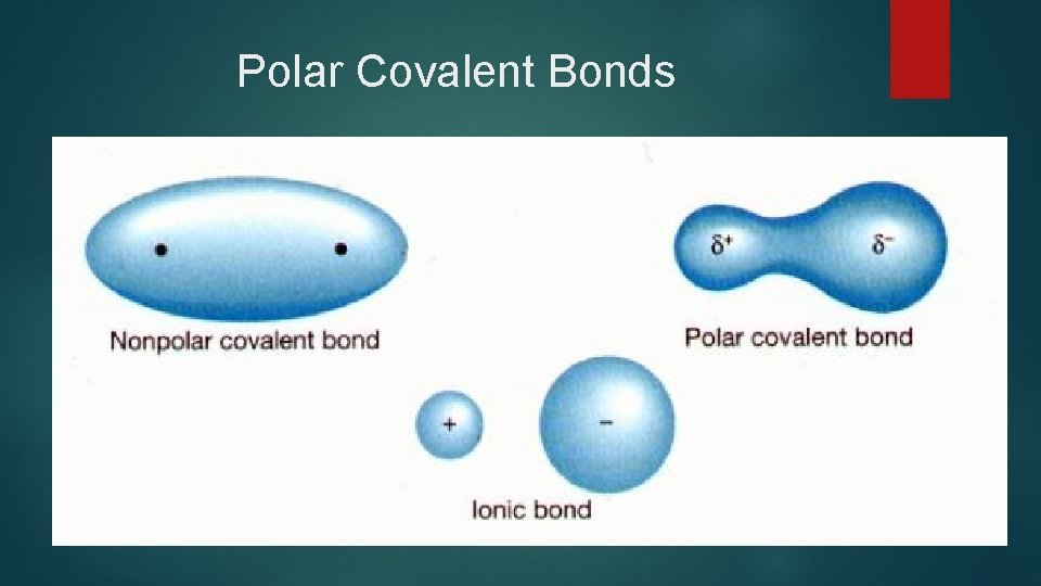Polar Covalent Bonds 