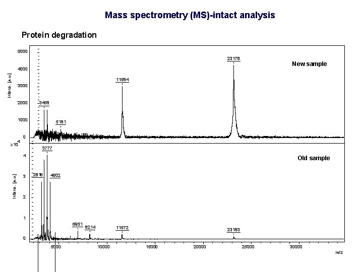 Mass spectrometry (MS)-intact analysis Protein degradation 5000 23178 New sample Intens. [a. u. ]