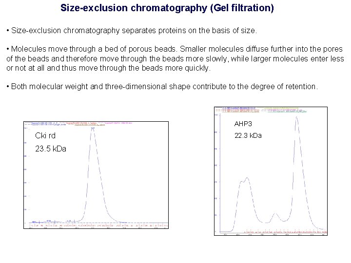 Size-exclusion chromatography (Gel filtration) • Size-exclusion chromatography separates proteins on the basis of size.