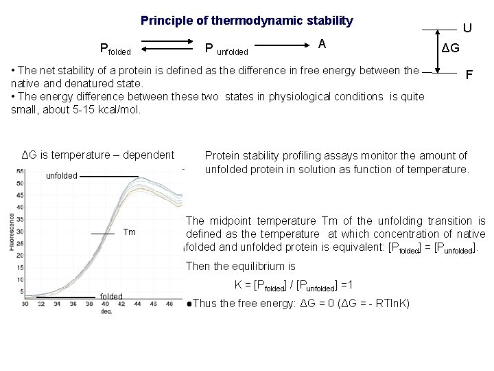 Principle of thermodynamic stability Pfolded P unfolded A • The net stability of a