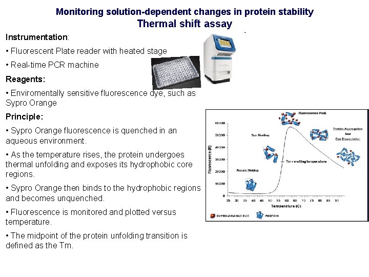 Monitoring solution-dependent changes in protein stability Thermal shift assay Instrumentation: • Fluorescent Plate reader