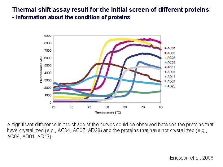 Thermal shift assay result for the initial screen of different proteins - information about