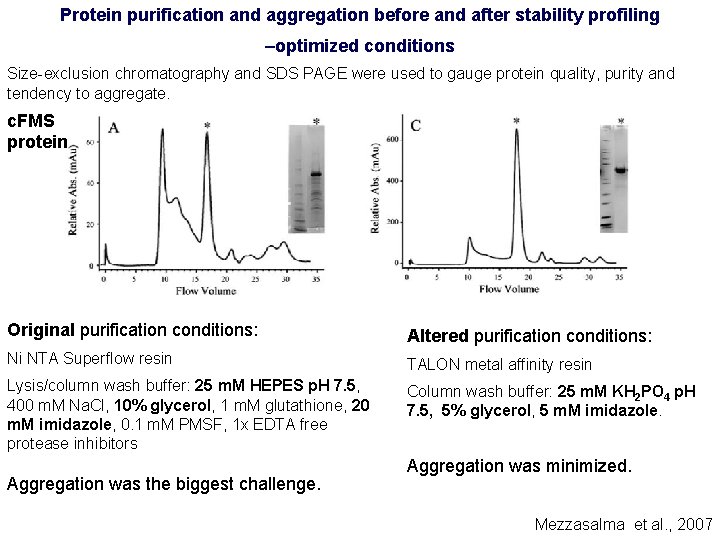 Protein purification and aggregation before and after stability profiling –optimized conditions Size-exclusion chromatography and