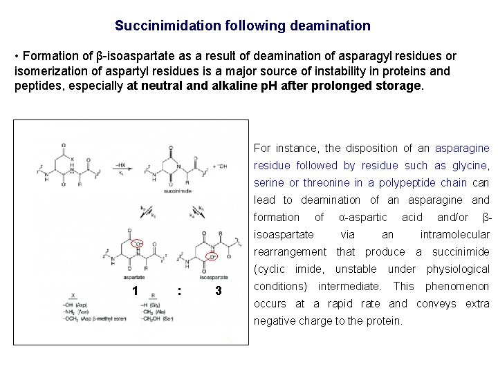 Succinimidation following deamination • Formation of β-isoaspartate as a result of deamination of asparagyl