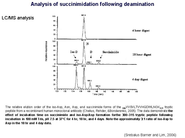 Analysis of succinimidation following deamination LC/MS analysis The relative elution order of the iso-Asp,