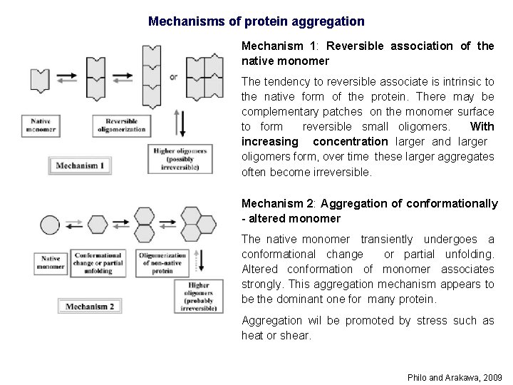 Mechanisms of protein aggregation Mechanism 1: Reversible association of the native monomer The tendency