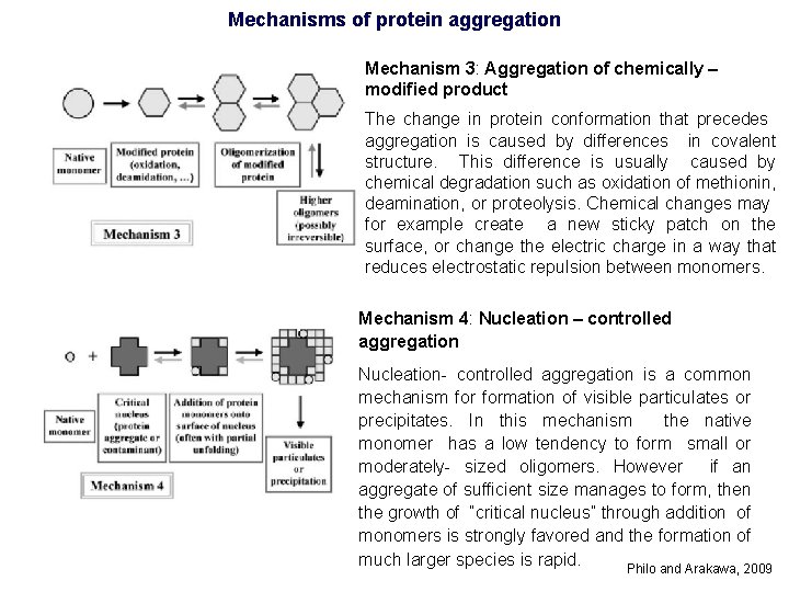 Mechanisms of protein aggregation Mechanism 3: Aggregation of chemically – modified product The change