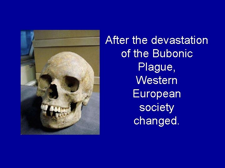 After the devastation of the Bubonic Plague, Western European society changed. After the devastation of the Bubonic Plague, Western European society changed.