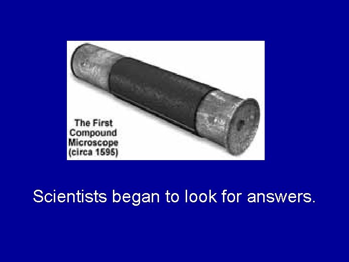 Scientists began to look for answers. Scientists began to look for answers.