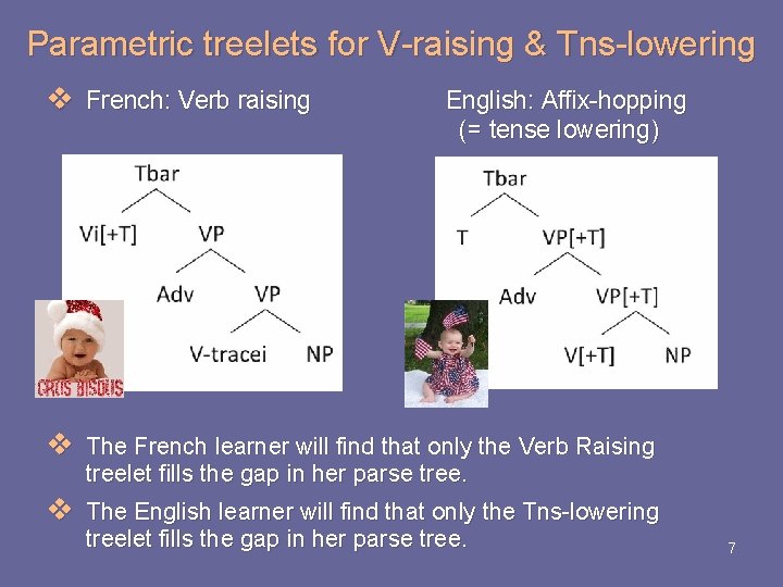 Parametric treelets for V-raising & Tns-lowering v French: Verb raising English: Affix-hopping (= tense Parametric treelets for V-raising & Tns-lowering v French: Verb raising English: Affix-hopping (= tense