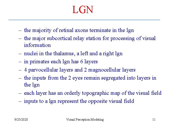 LGN – the majority of retinal axons terminate in the lgn – the major