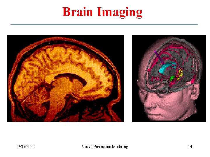 Brain Imaging 9/25/2020 Visual Perception Modeling 14 