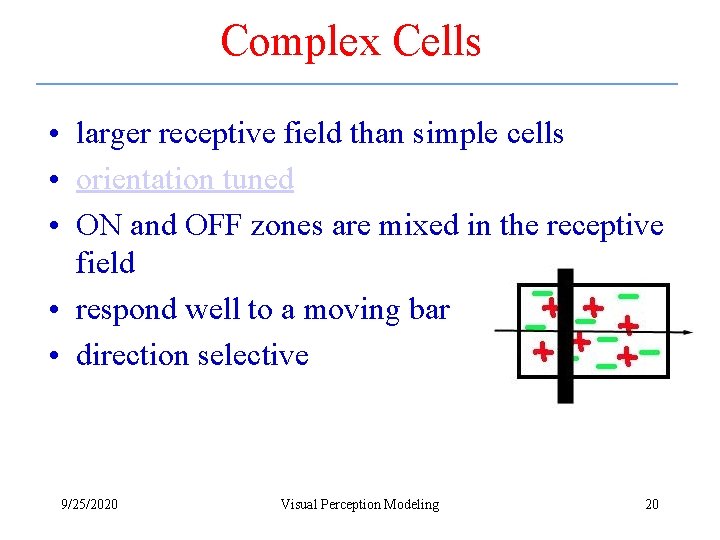 Complex Cells • larger receptive field than simple cells • orientation tuned • ON