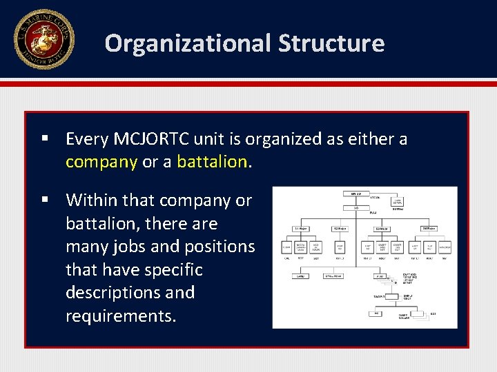 Organizational Structure § Every MCJORTC unit is organized as either a company or a