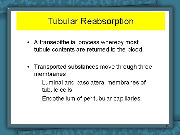 Tubular Reabsorption • A transepithelial process whereby most tubule contents are returned to the