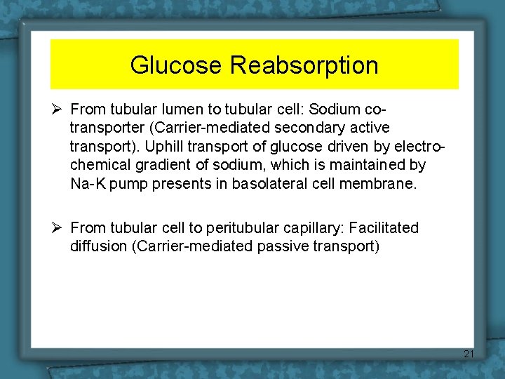 Glucose Reabsorption Ø From tubular lumen to tubular cell: Sodium cotransporter (Carrier-mediated secondary active