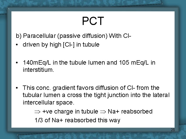 PCT b) Paracellular (passive diffusion) With Cl • driven by high [Cl-] in tubule