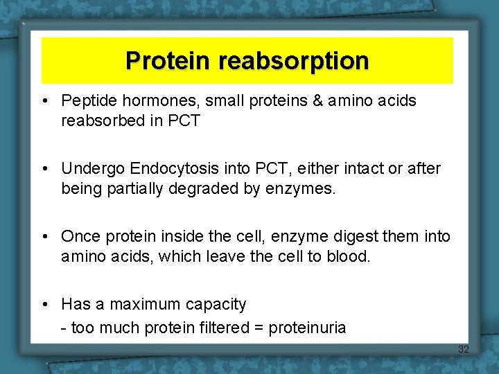Protein reabsorption • Peptide hormones, small proteins & amino acids reabsorbed in PCT •