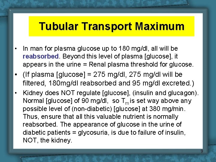 Tubular Transport Maximum • In man for plasma glucose up to 180 mg/dl, all