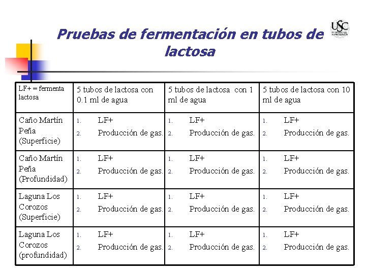 Pruebas de fermentación en tubos de lactosa LF+ = fermenta lactosa Caño Martín Peña