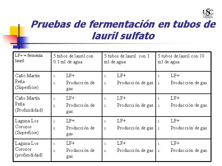 Pruebas de fermentación en tubos de lauril sulfato LF+ = fermenta lauril Caño Martín