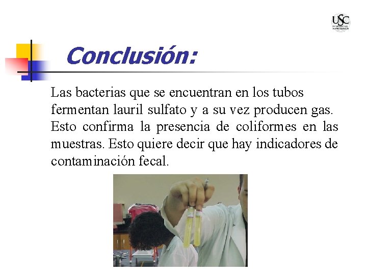 Conclusión: Las bacterias que se encuentran en los tubos fermentan lauril sulfato y a