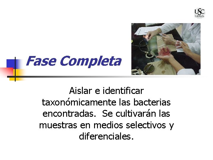 Fase Completa Aislar e identificar taxonómicamente las bacterias encontradas. Se cultivarán las muestras en