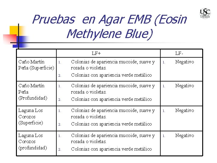 Pruebas en Agar EMB (Eosin Methylene Blue) LF+ Caño Martín Peña (Superficie) 1. 2.