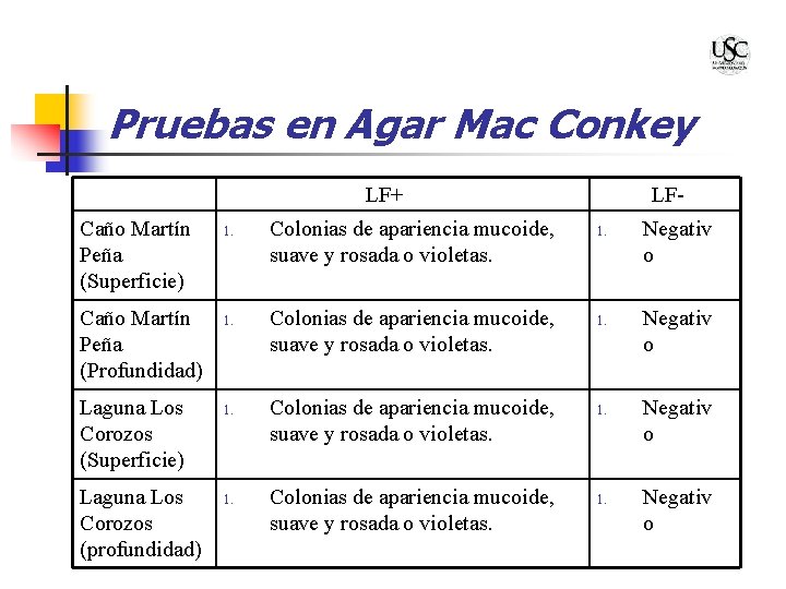 Pruebas en Agar Mac Conkey LF+ Caño Martín Peña (Superficie) Caño Martín Peña (Profundidad)