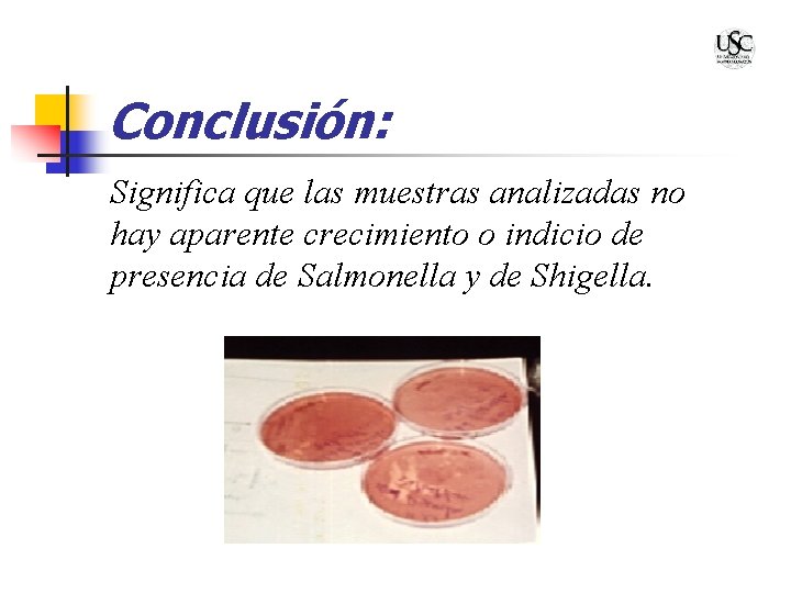 Conclusión: Significa que las muestras analizadas no hay aparente crecimiento o indicio de presencia