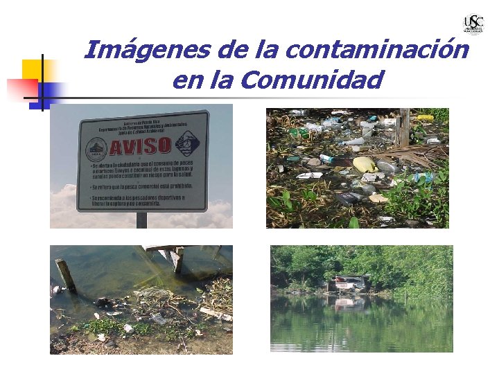 Imágenes de la contaminación en la Comunidad 