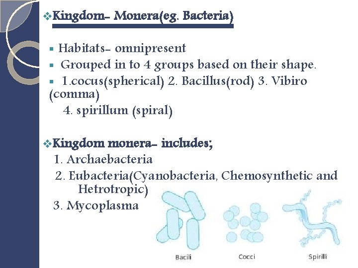 v. Kingdom- Monera(eg. Bacteria) Habitats- omnipresent Grouped in to 4 groups based on their