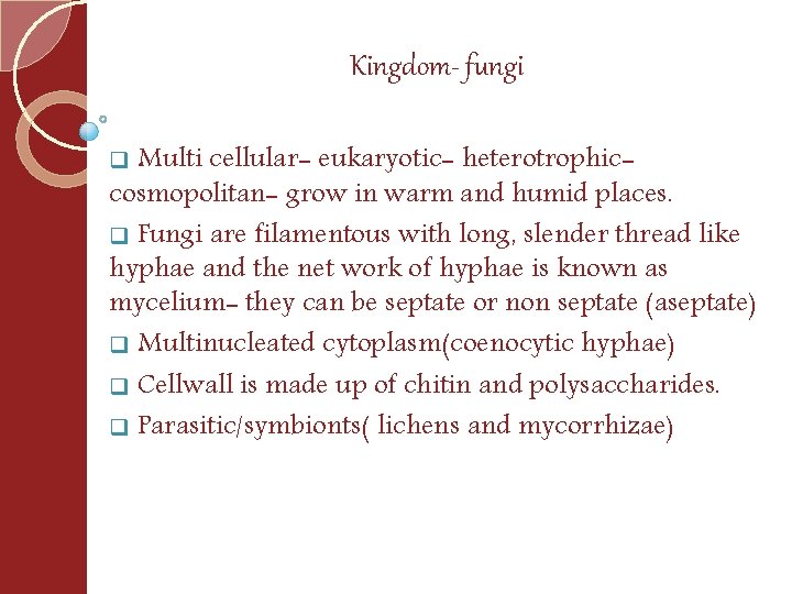 Kingdom- fungi q Multi cellular- eukaryotic- heterotrophic- cosmopolitan- grow in warm and humid places.