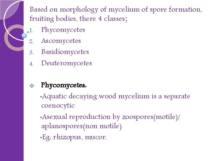 Based on morphology of mycelium of spore formation, fruiting bodies, there 4 classes; 1.