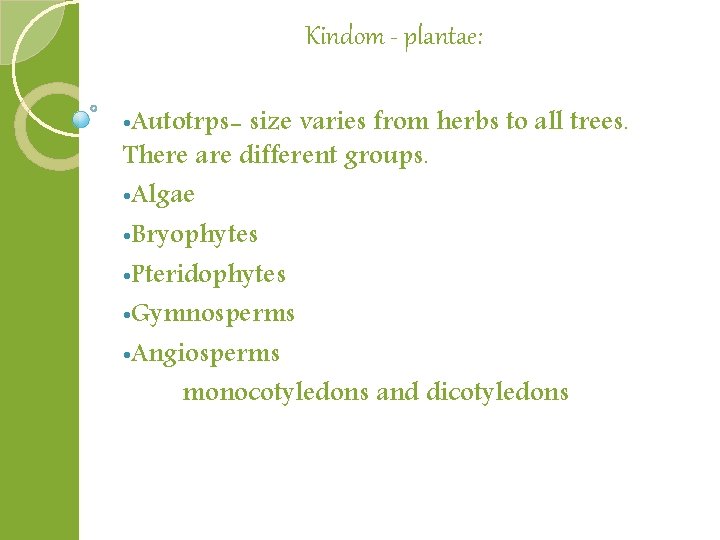 Kindom - plantae: • Autotrps- size varies from herbs to all trees. There are