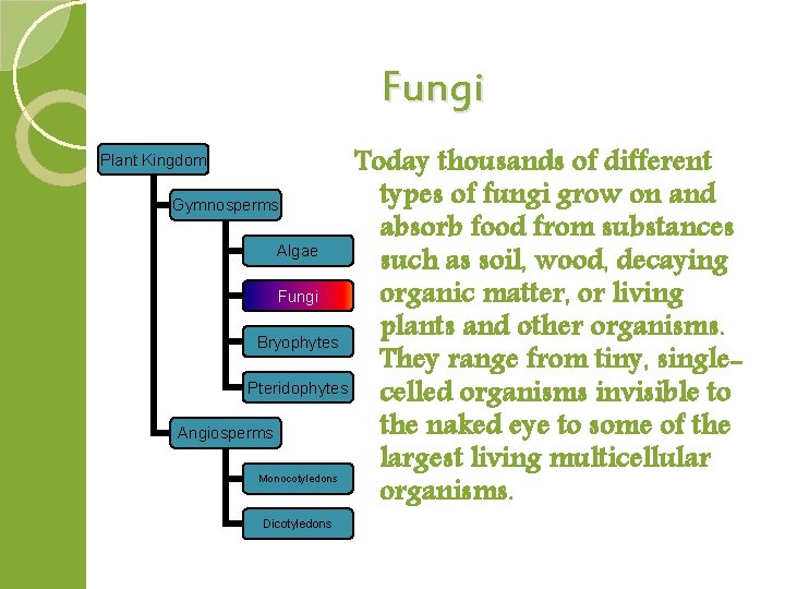 Fungi Today thousands of different types of fungi grow on and Gymnosperms absorb food