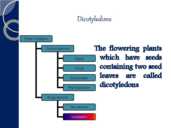 Dicotyledons Plant Kingdom Gymnosperms Algae Fungi Bryophytes Pteridophytes Angiosperms Monocotyledons Dicotyledons The flowering plants